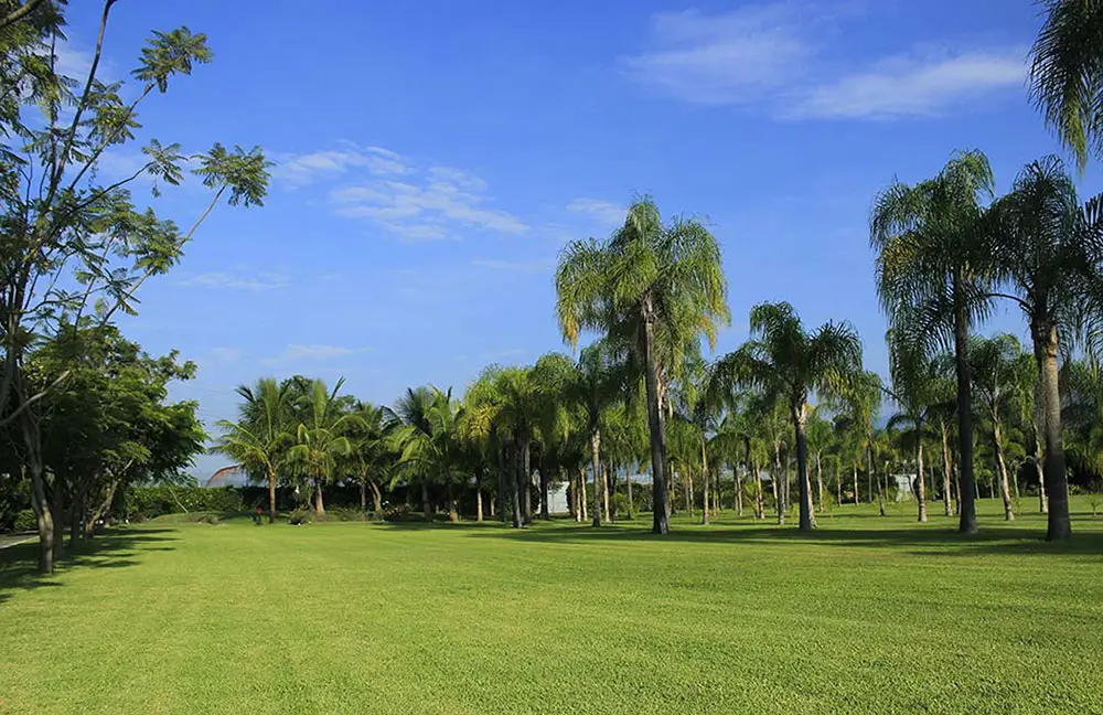 Montaje de evento social al aire libre en The Lorian Club